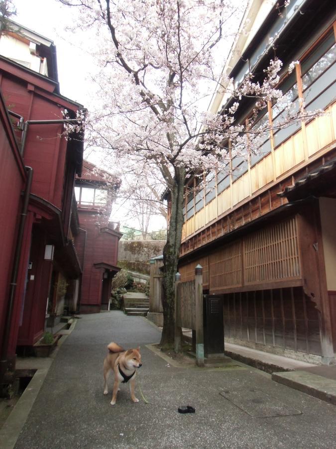 Kanazawa Share House Gaooo Экстерьер фото